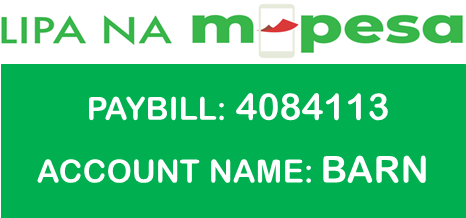 Mpesa PayBill